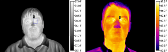 Two examples of a camera functionality check above.  Left: box temperature with box set to "maximum" value.  Right: spot temperature with cross-hair on tear duct.