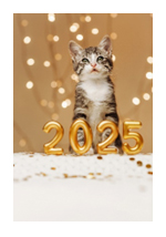 New Years Eve photo