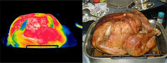 Infrared and visual images of a roasted turkey.