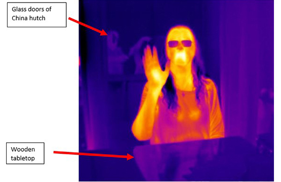 Example of both visual and thermal images.